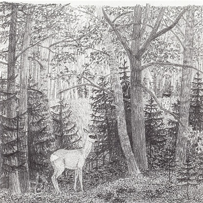 Bambi och hornuggla incognito I, 2010